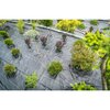 Durasack 130 sq. ft. Weed Barrier Landscape Fabric, Heavy Duty UV-Stabilized Woven Polypropylene SH-6520RET